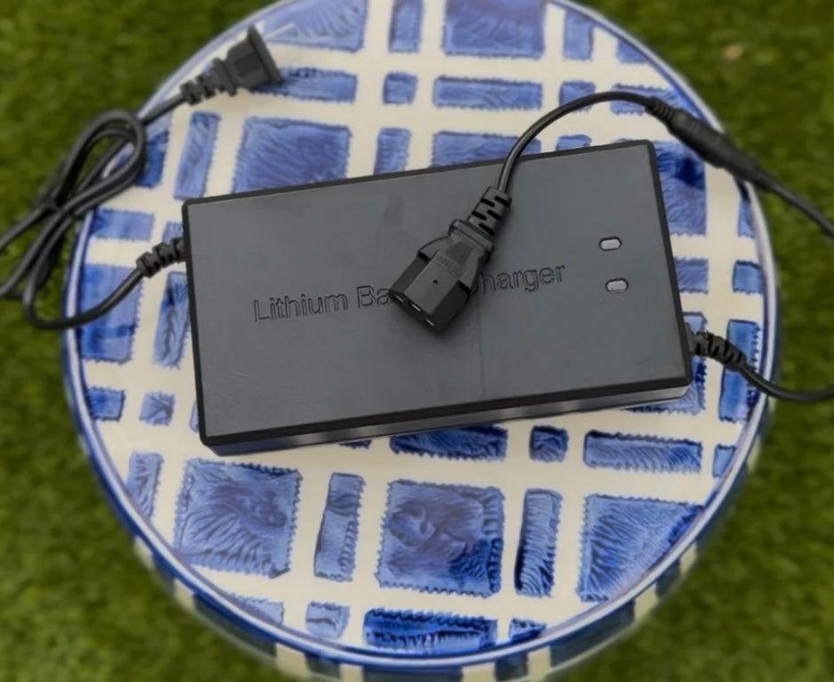 Upgraded Fast Charger For Tuttio, Razor, and Ridstar